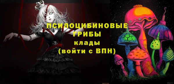 первитин Гусь-Хрустальный