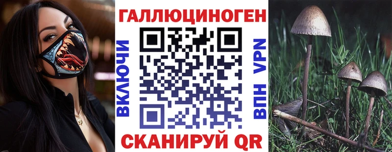 Галлюциногенные грибы Psilocybine cubensis  Нурлат 