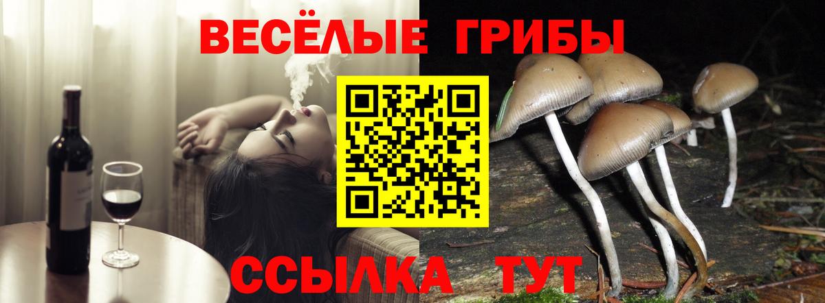 Галлюциногенные грибы мицелий Нурлат